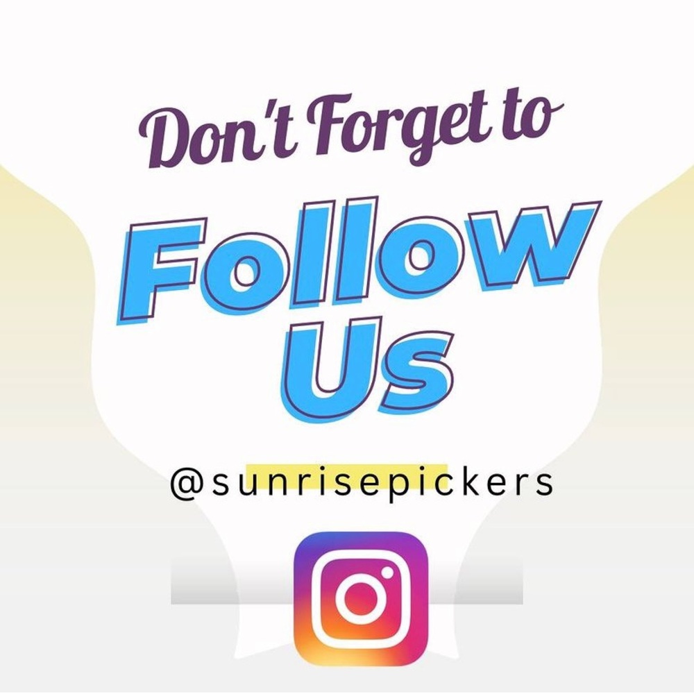Follow us on Instagram @sunrisepickers